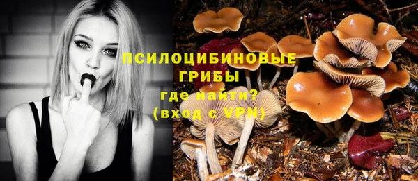 не бодяженный Пролетарск